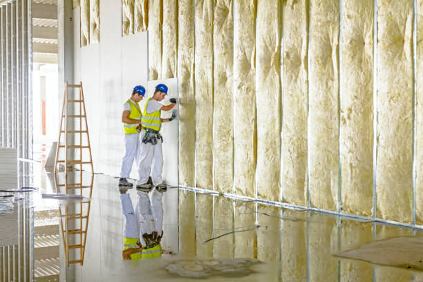 Best Eco-Friendly or Green Insulation Solutions  in Hillsdale, NJ